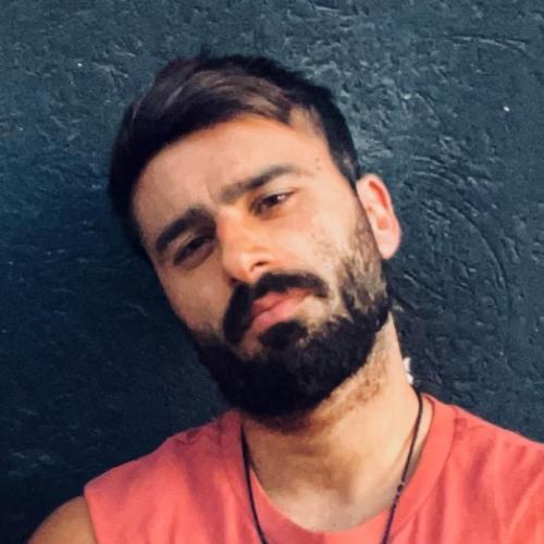 ניסים ארייב