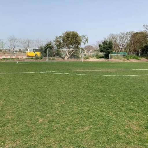 מגרש כדורגל