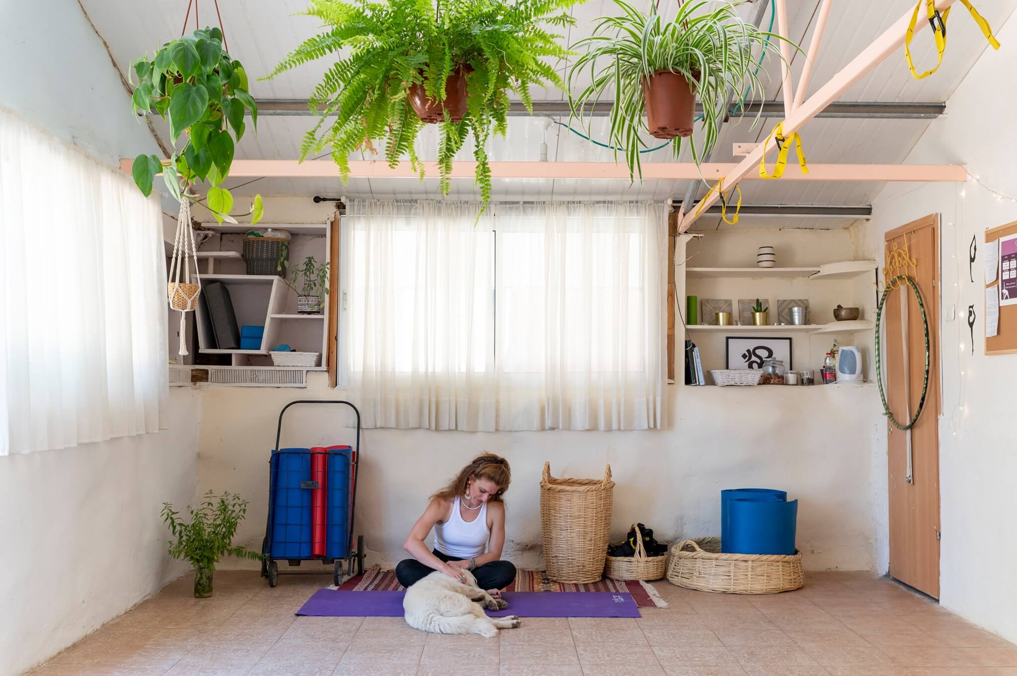 שיבה בית לתנועה