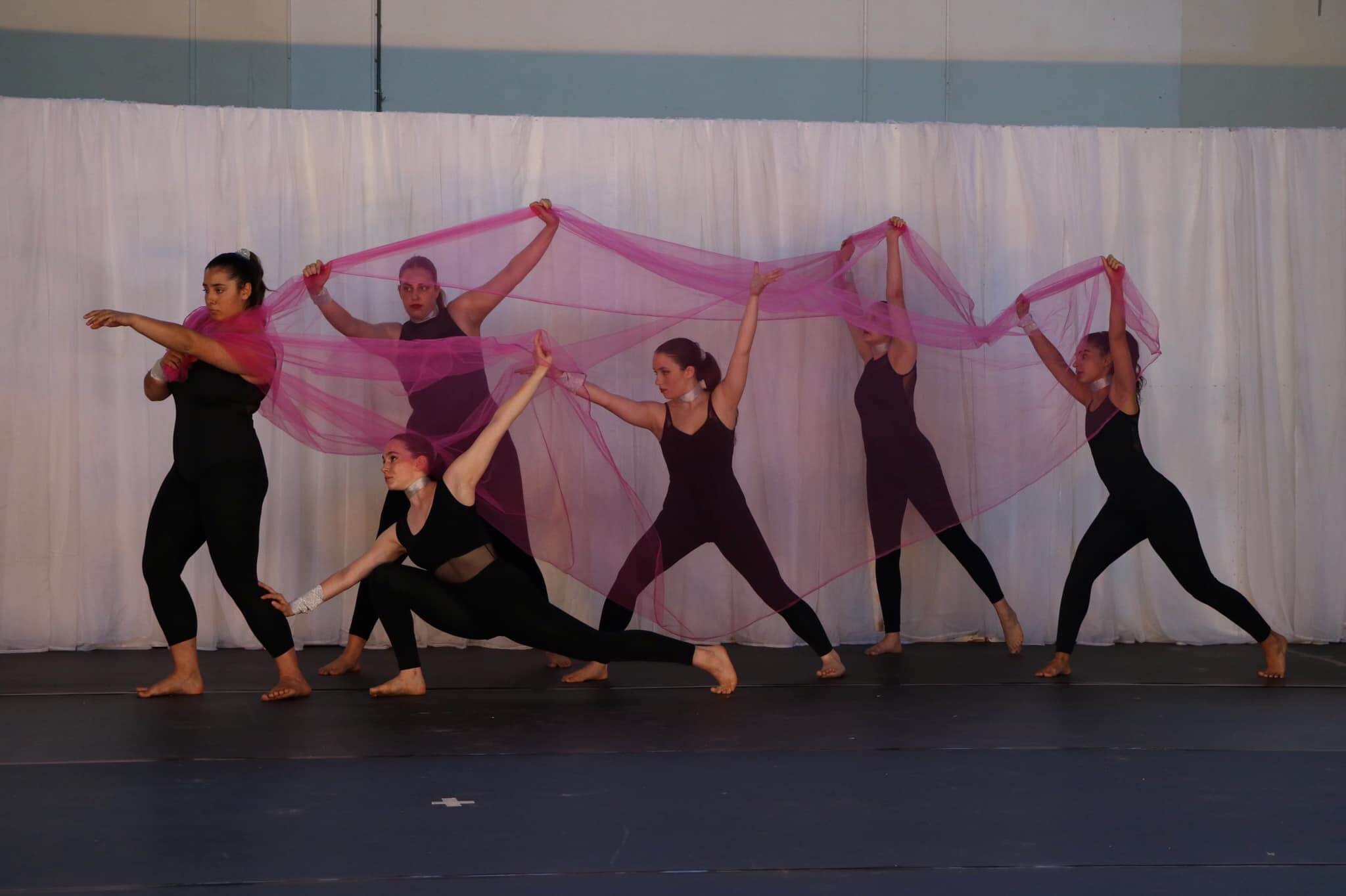 הסטודיו של דליה בע״מ