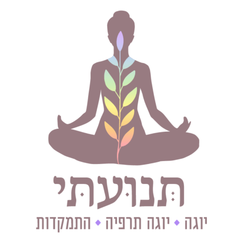 תנועתי - המרכז ליוגה ואימוני כח בשיכון הצנחנים | lee