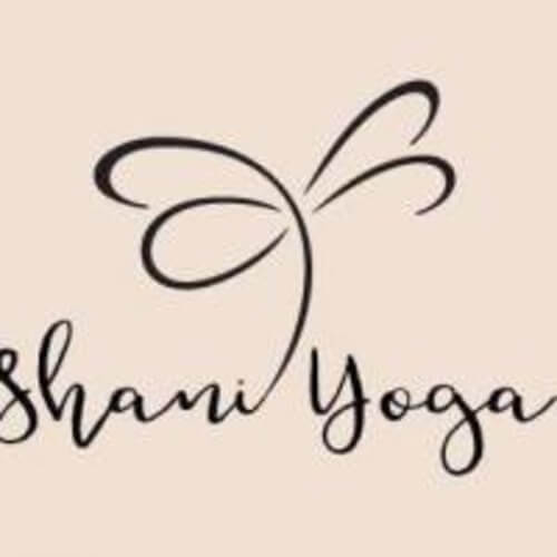 שני שוייצר | lee