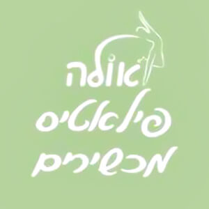 אולה פילאטיס מכשירים | lee