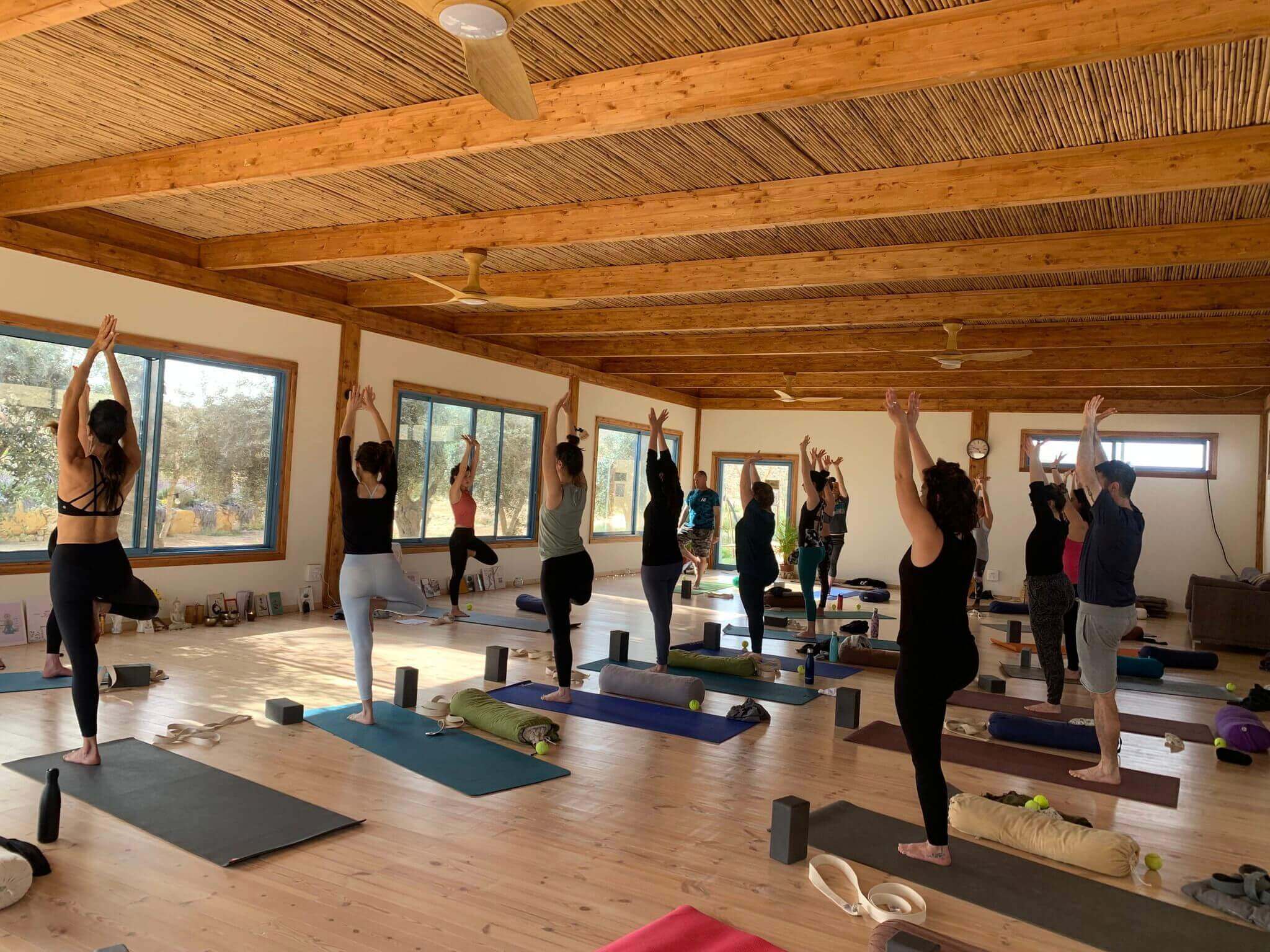 הסטודיו ליוגה בנורדיה - לילך לוי גלעדי