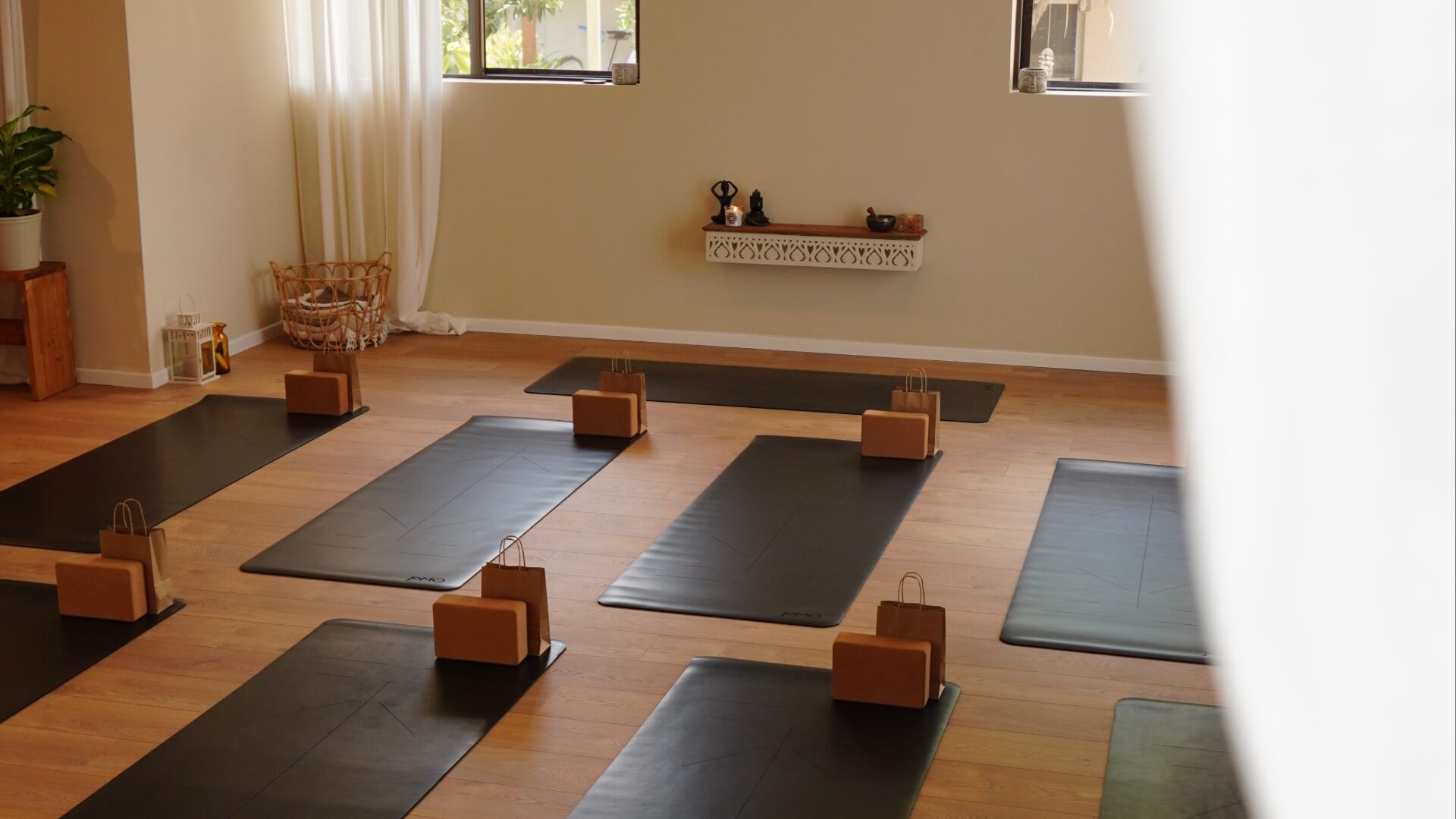 סטודיו קמליה