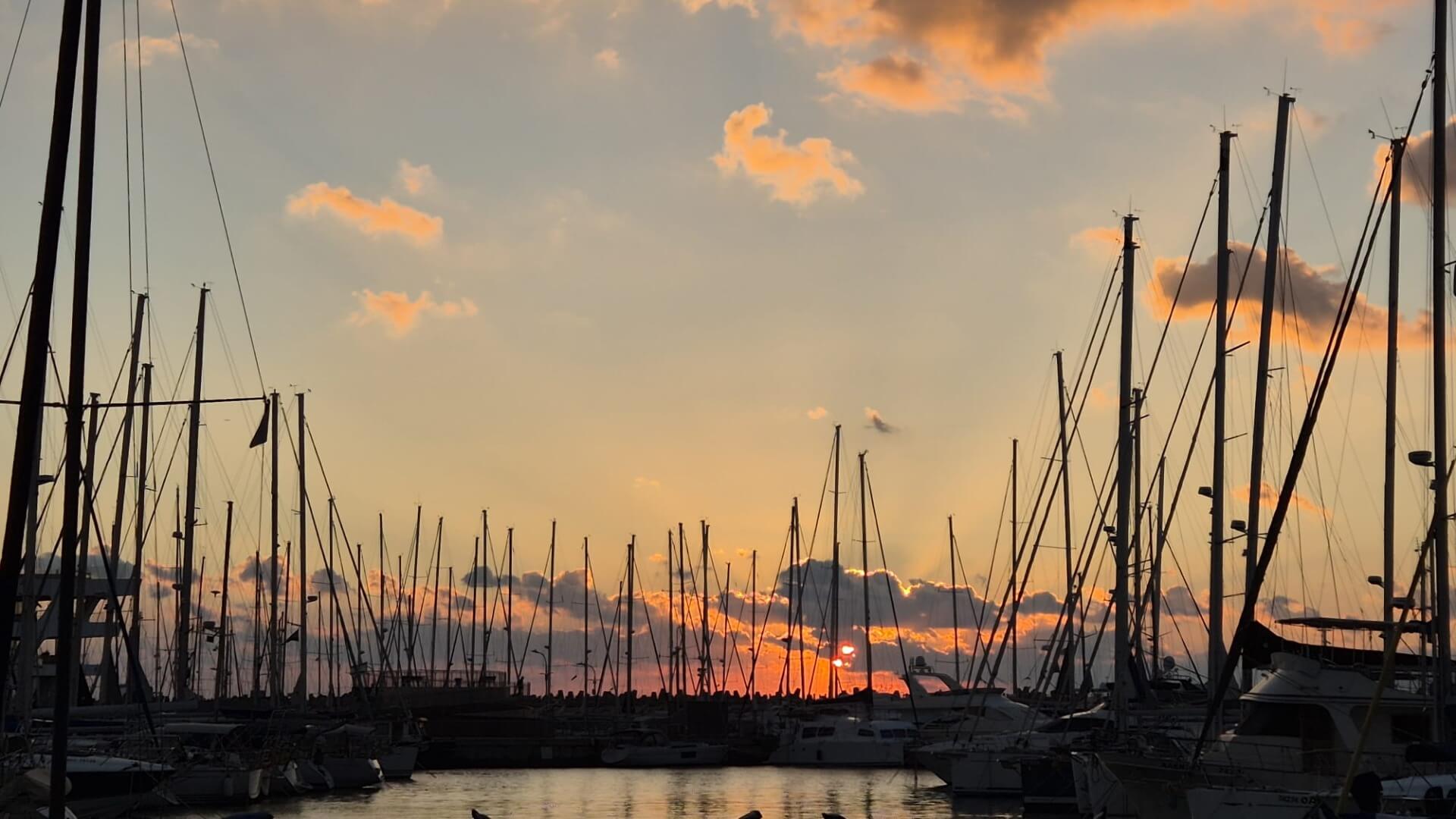  | רואי שמש סטודיו ריקוד והפקה 