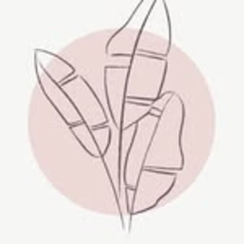 לירון נאוה | lee