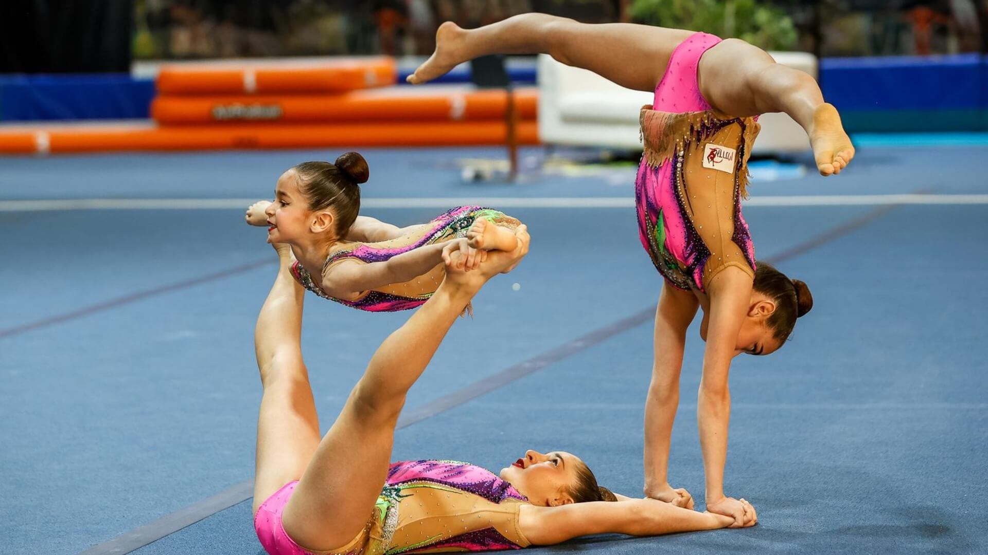 לין גורביץ בית ספר להתעמלות