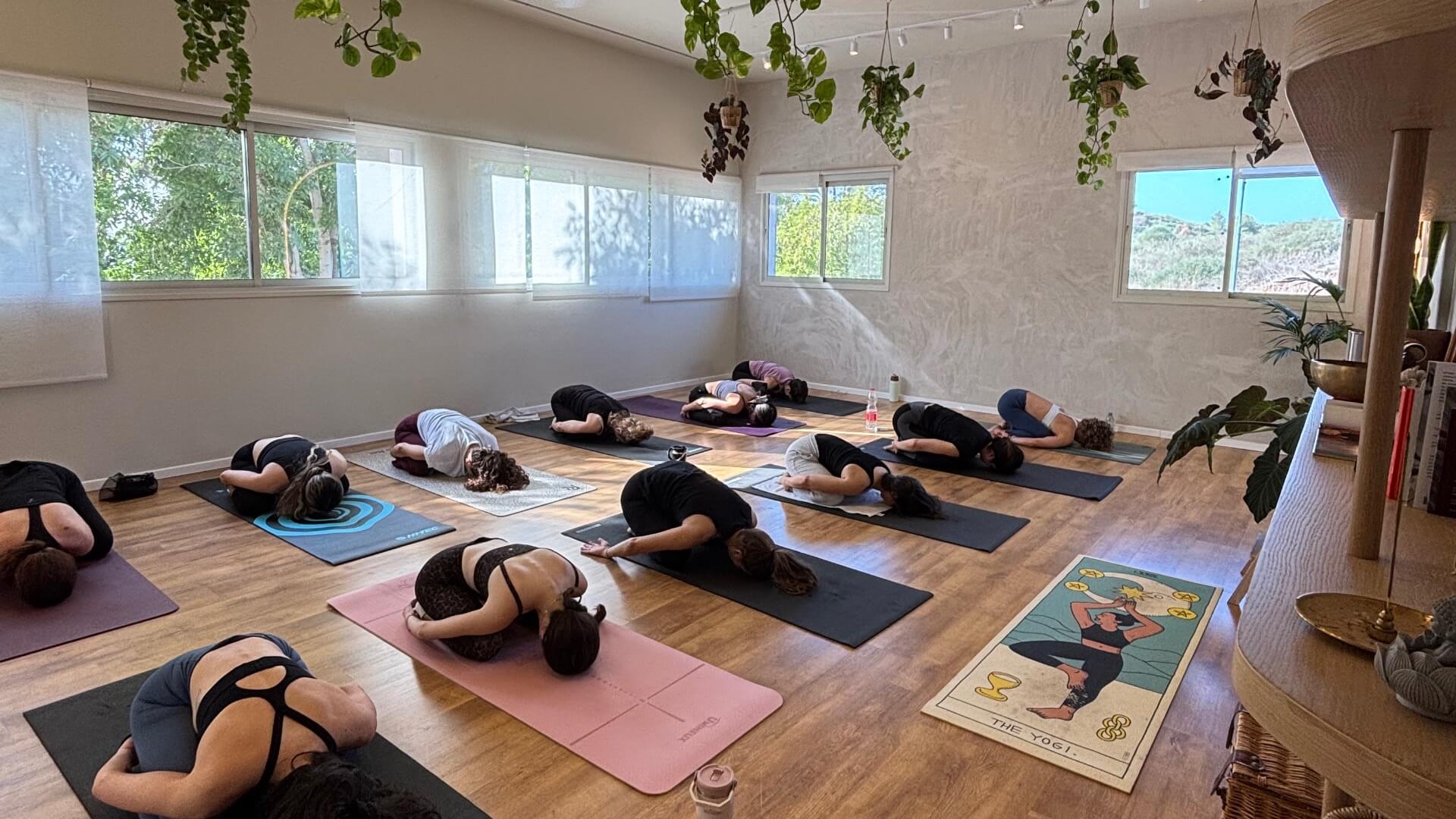  | עדי שפילמן 