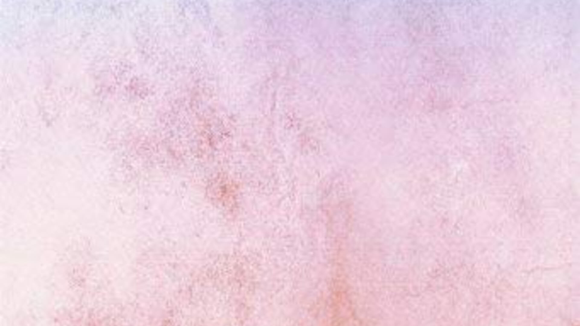 נועם פיטנס - סניף משני