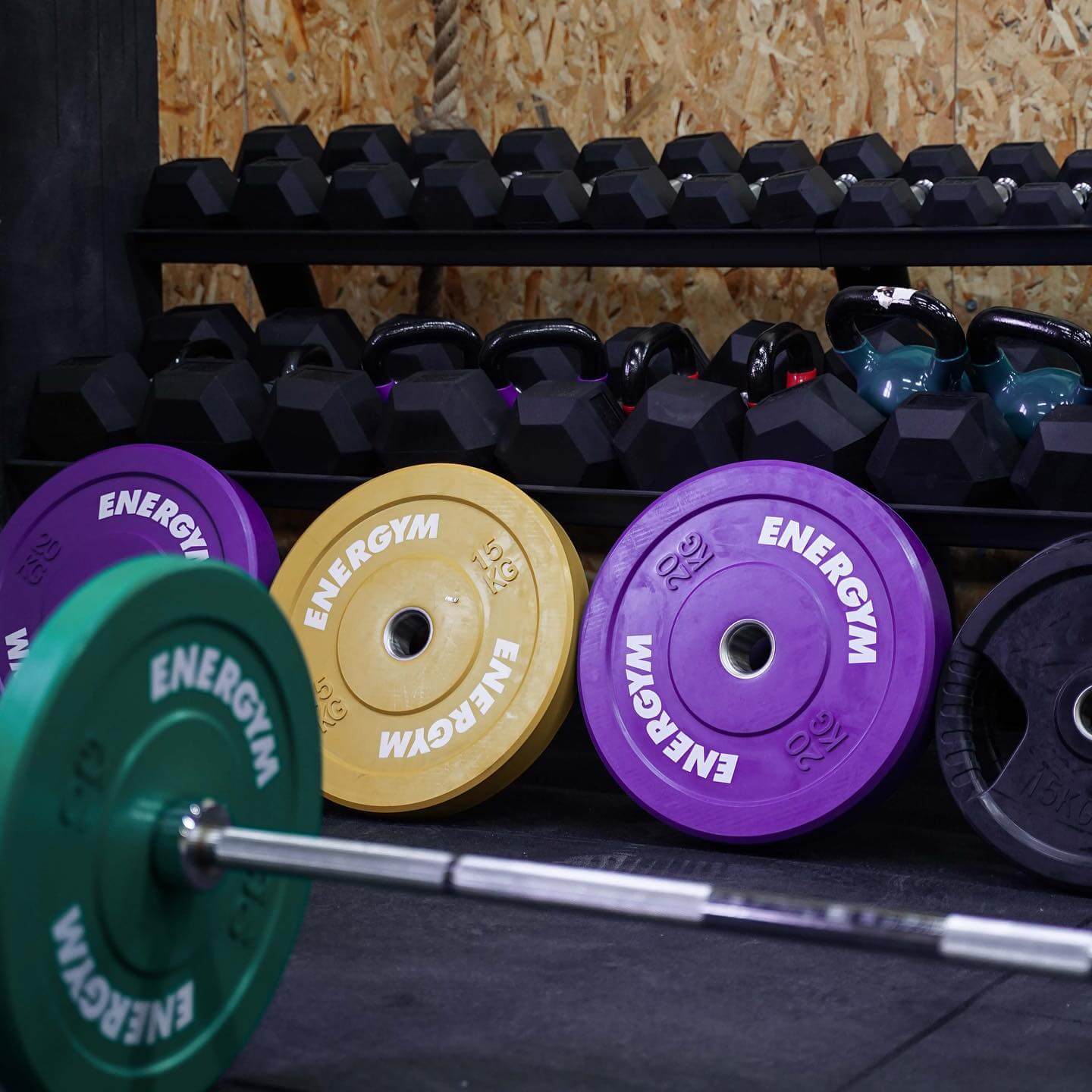 אסיל ברגיתי 