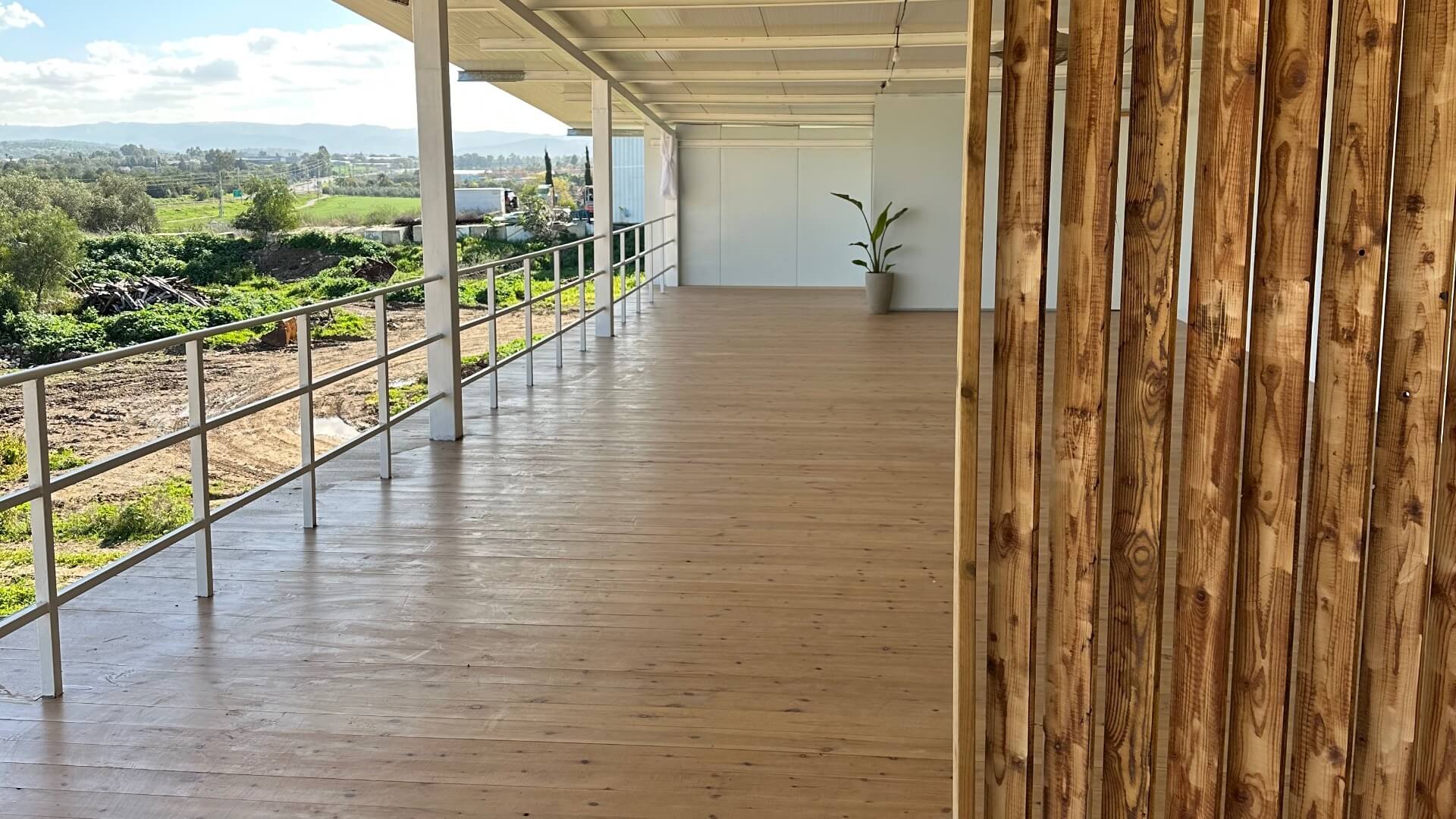 אביגיל טוויג 