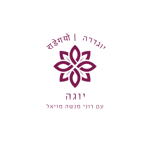 רוני מנשה  | lee