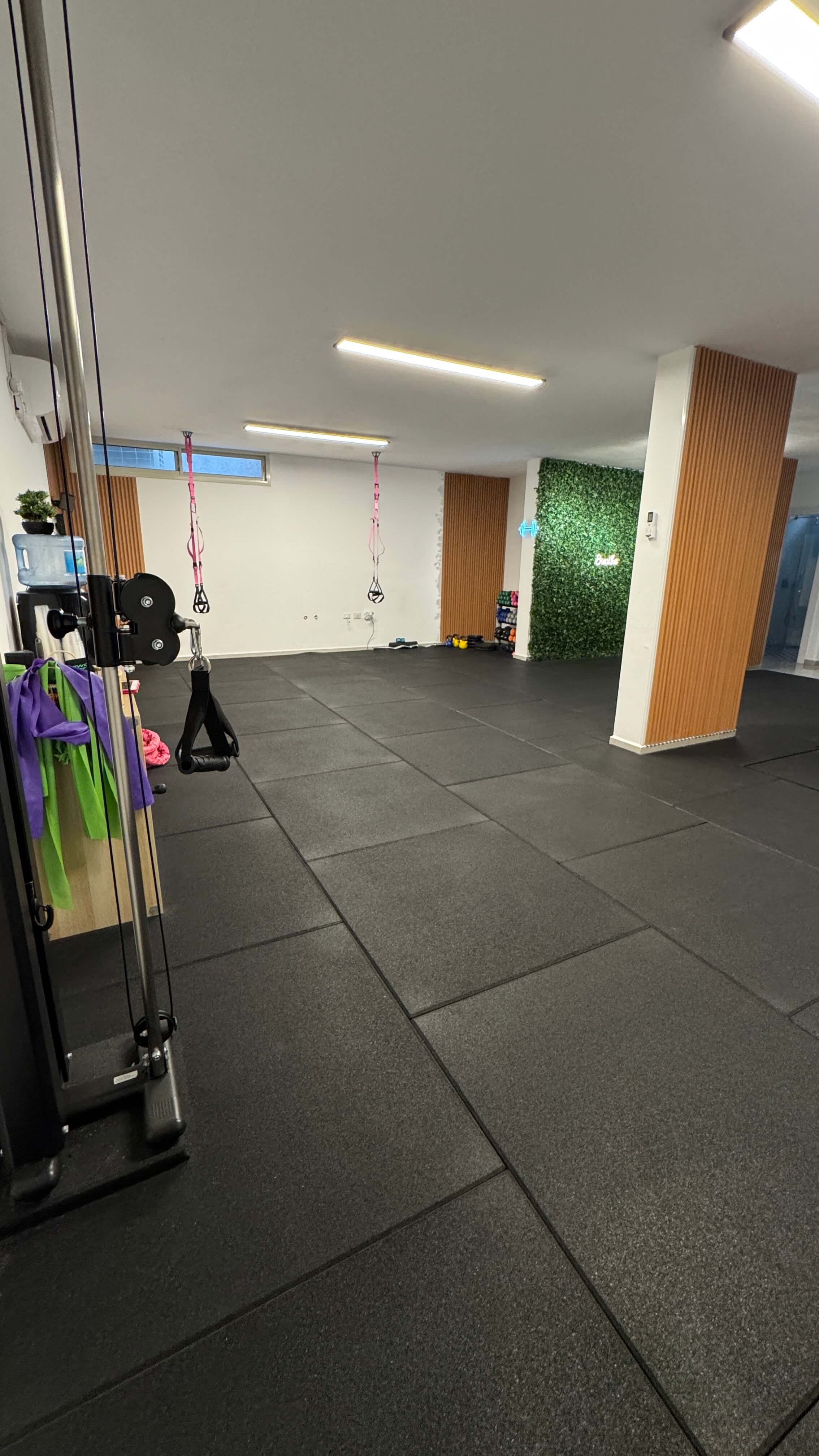  | מיכל ויצמן