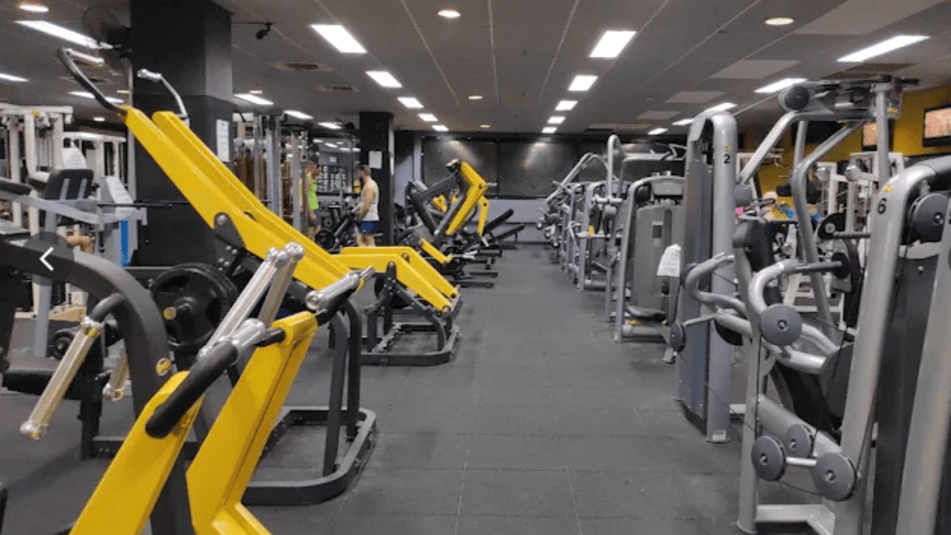 דניאל פיטנס