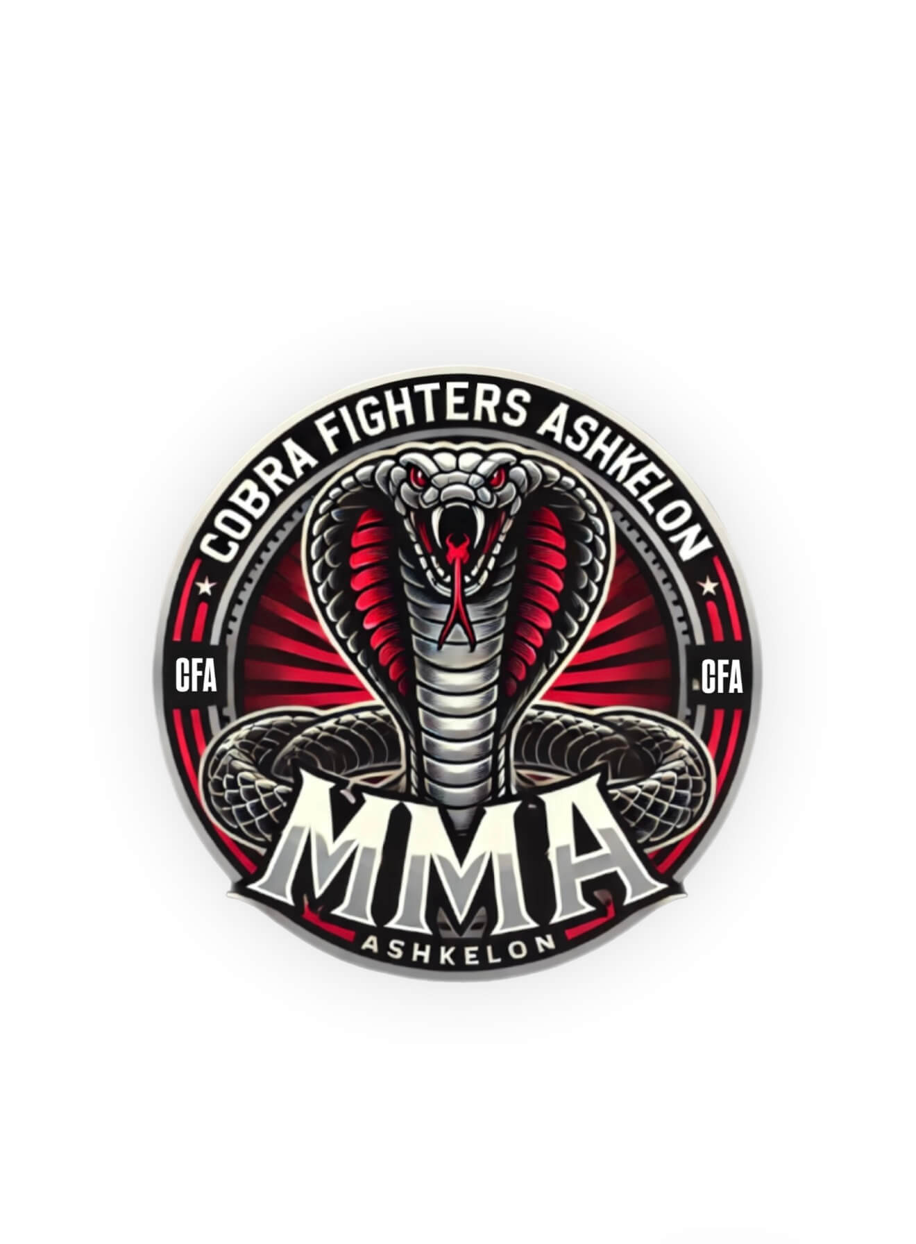 המרכז לספורט אומנויות לחימה