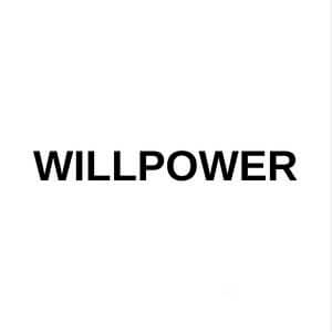 Willpower fitness | lee