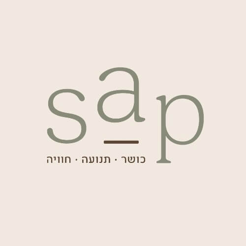 Sap-כושר תנועה חוויה | lee
