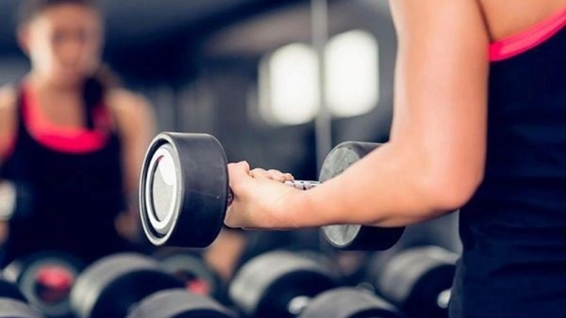 זיאת מיכאל שלמה 