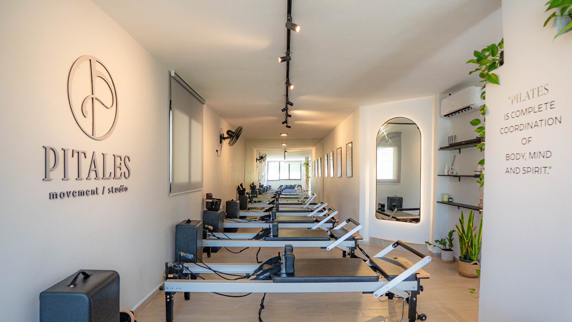Studio Pitales