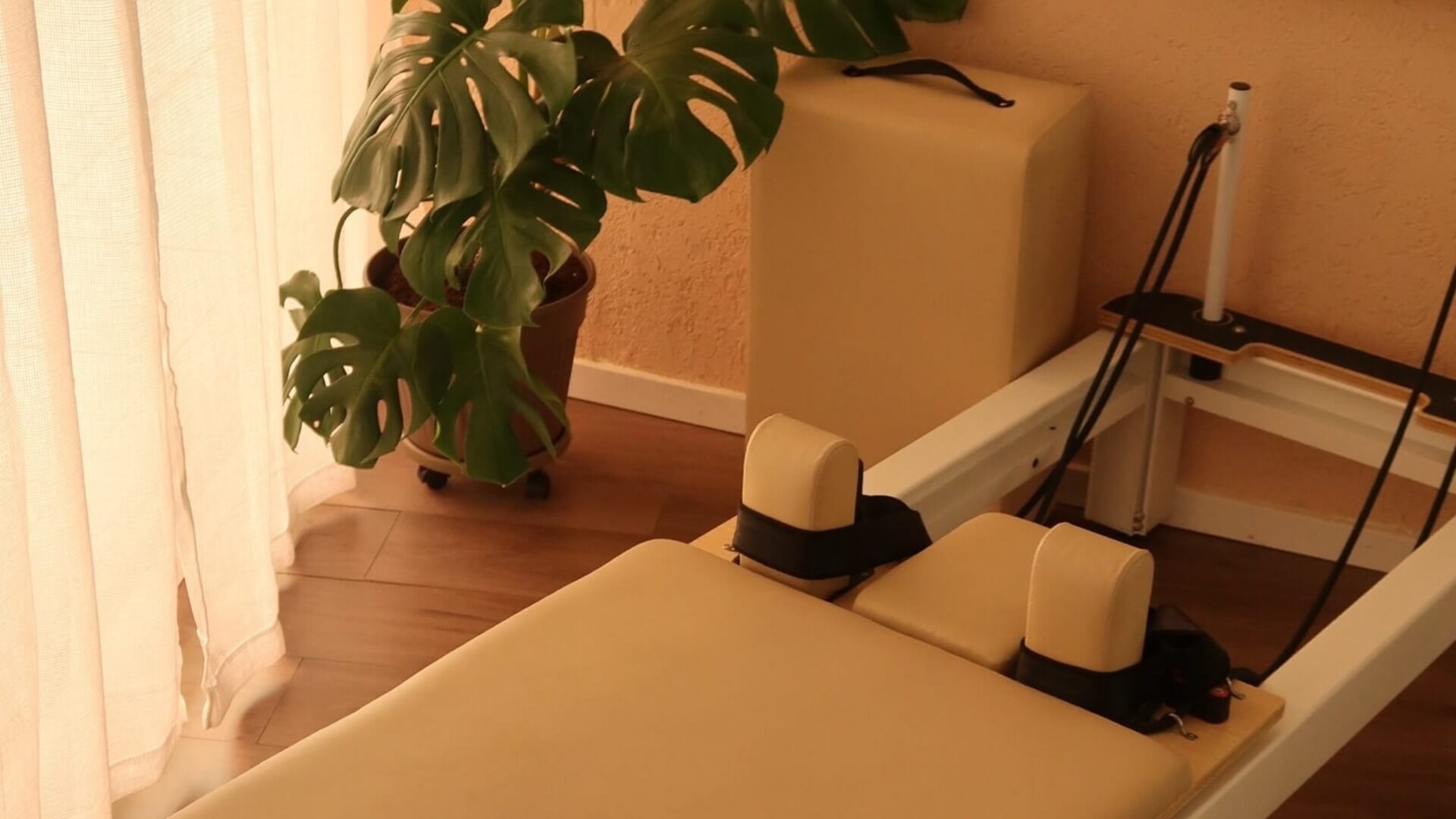  | Power house  חסיה שטיין 