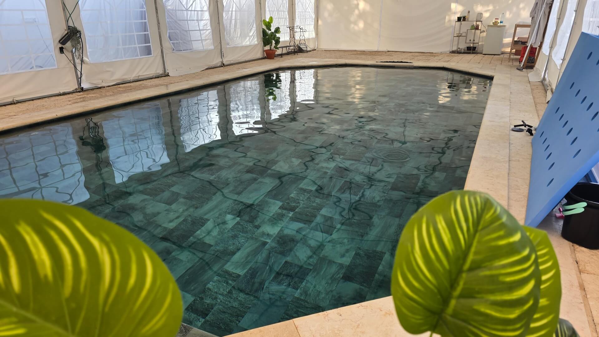 השונית - שחיית תינוקות ופעוטות